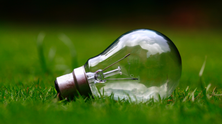 Lightbulb on a field of grass